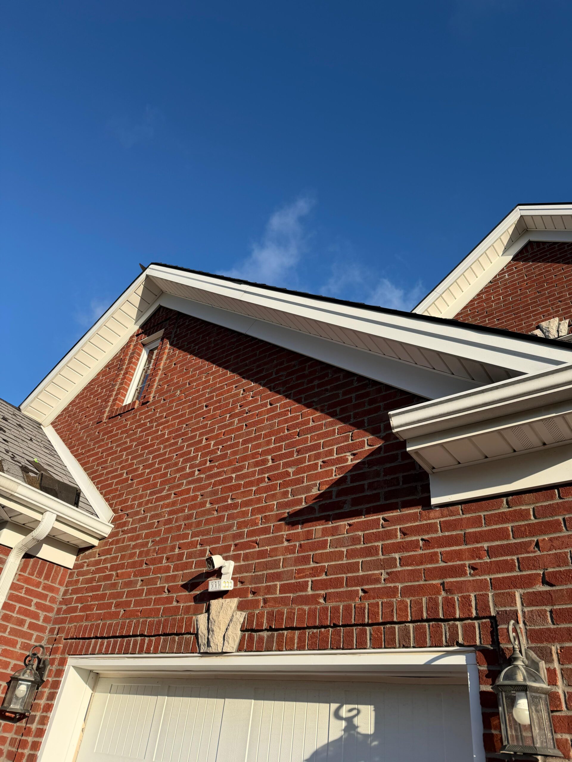 WhatsApp Image 2026-02-10 at 4.17.29 PM